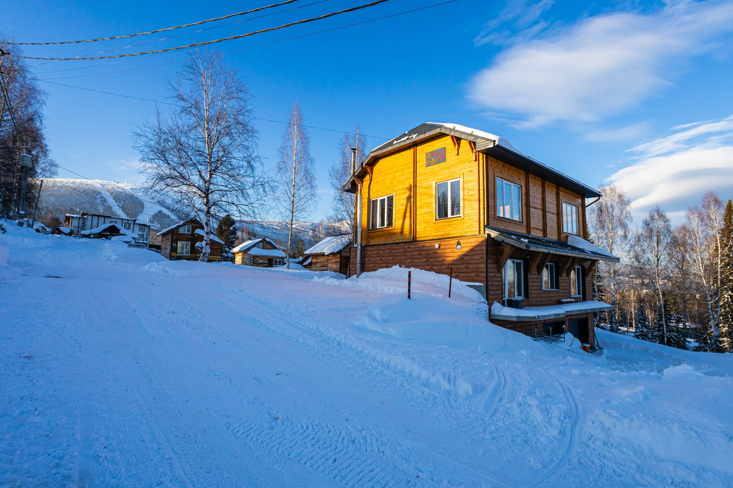 Фото Рыжий пони