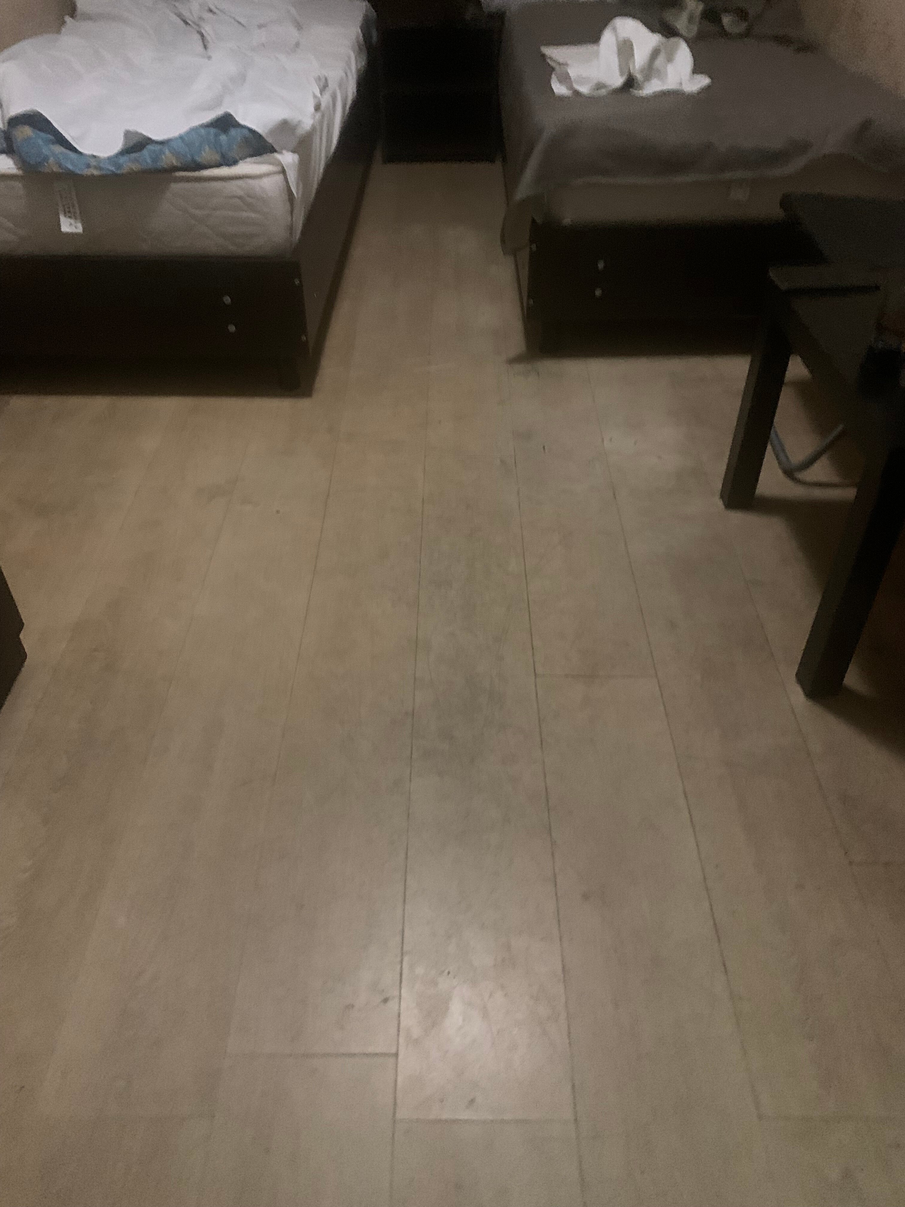 Фото Базилик 