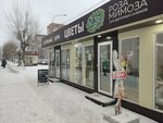 Tsvety (Sotsialisticheskiy Avenue, 130) ، محل زهور