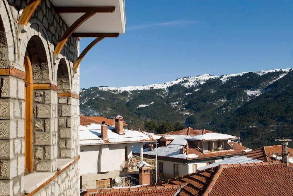 Фото Asteri Metsovo