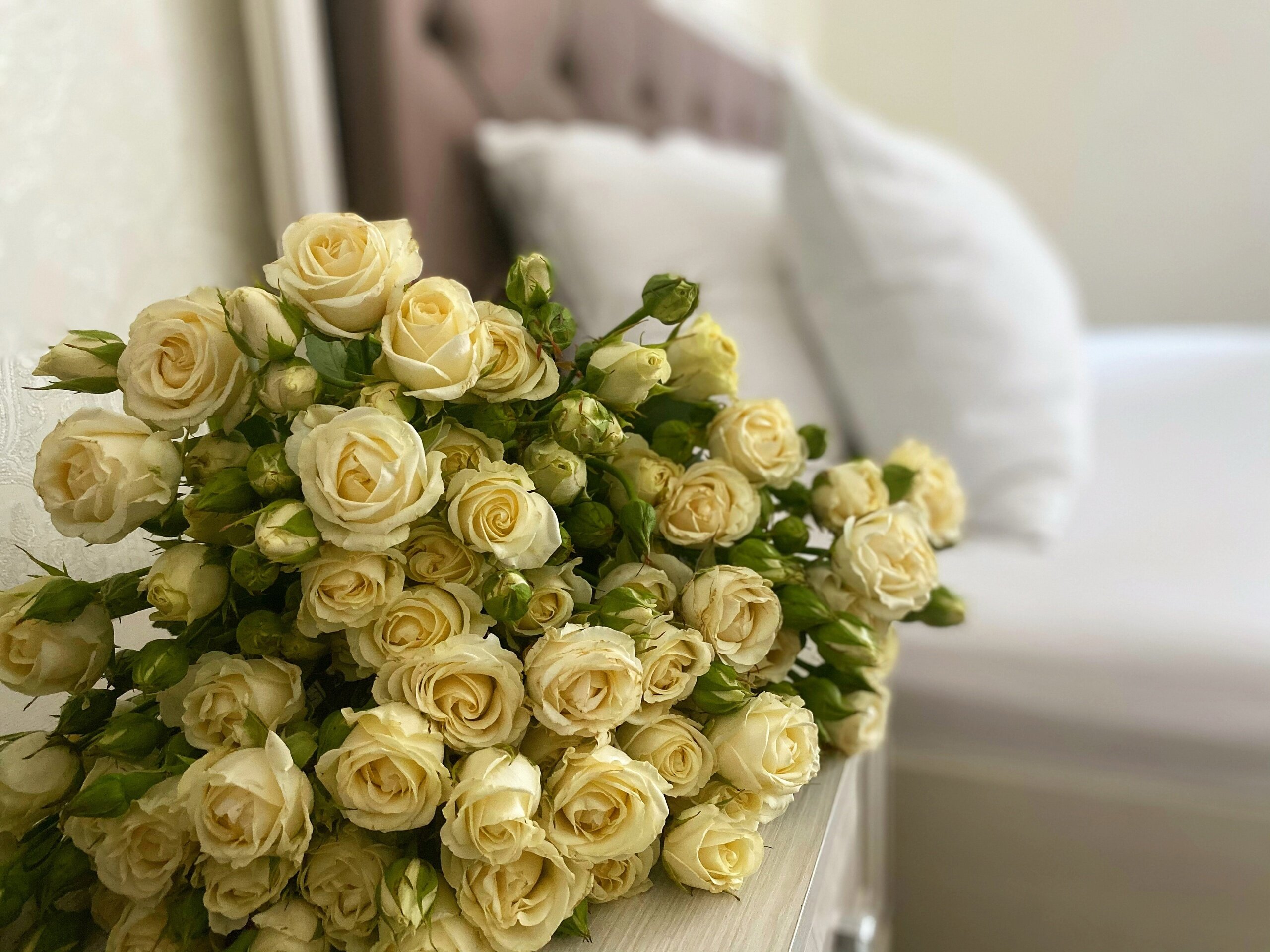 Фото Сан Сити