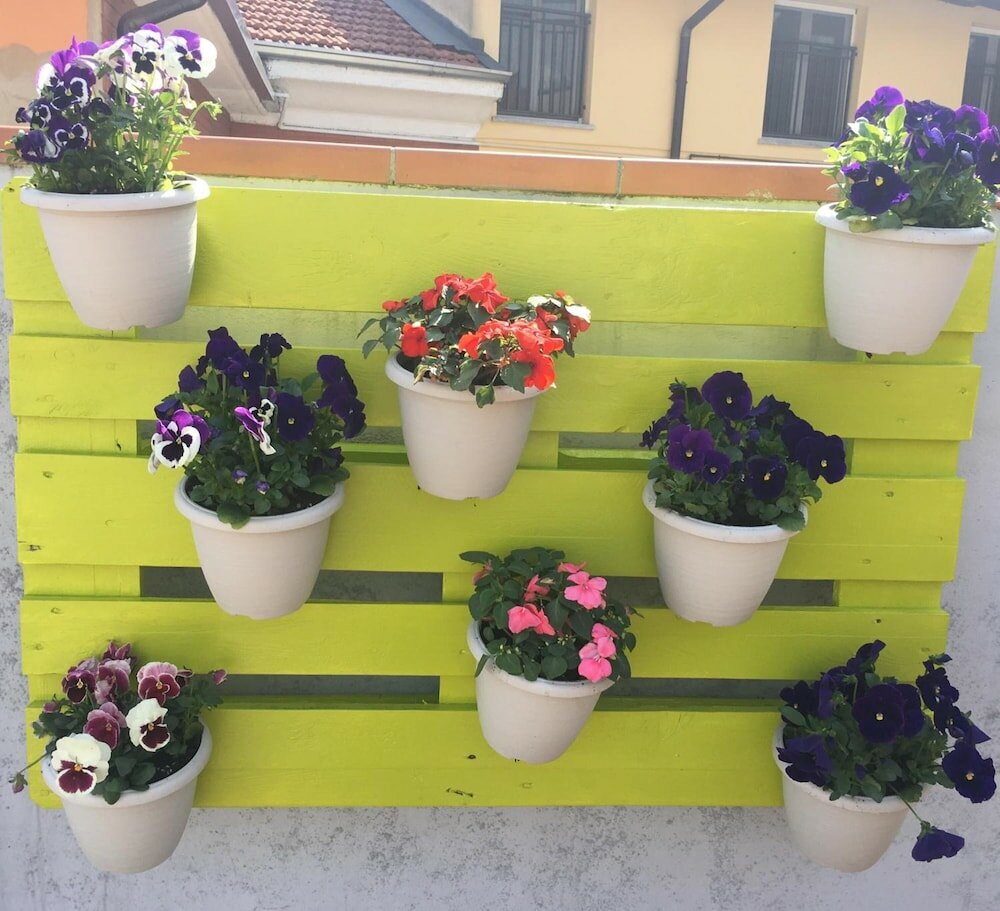 Фото B&b La Terrazza