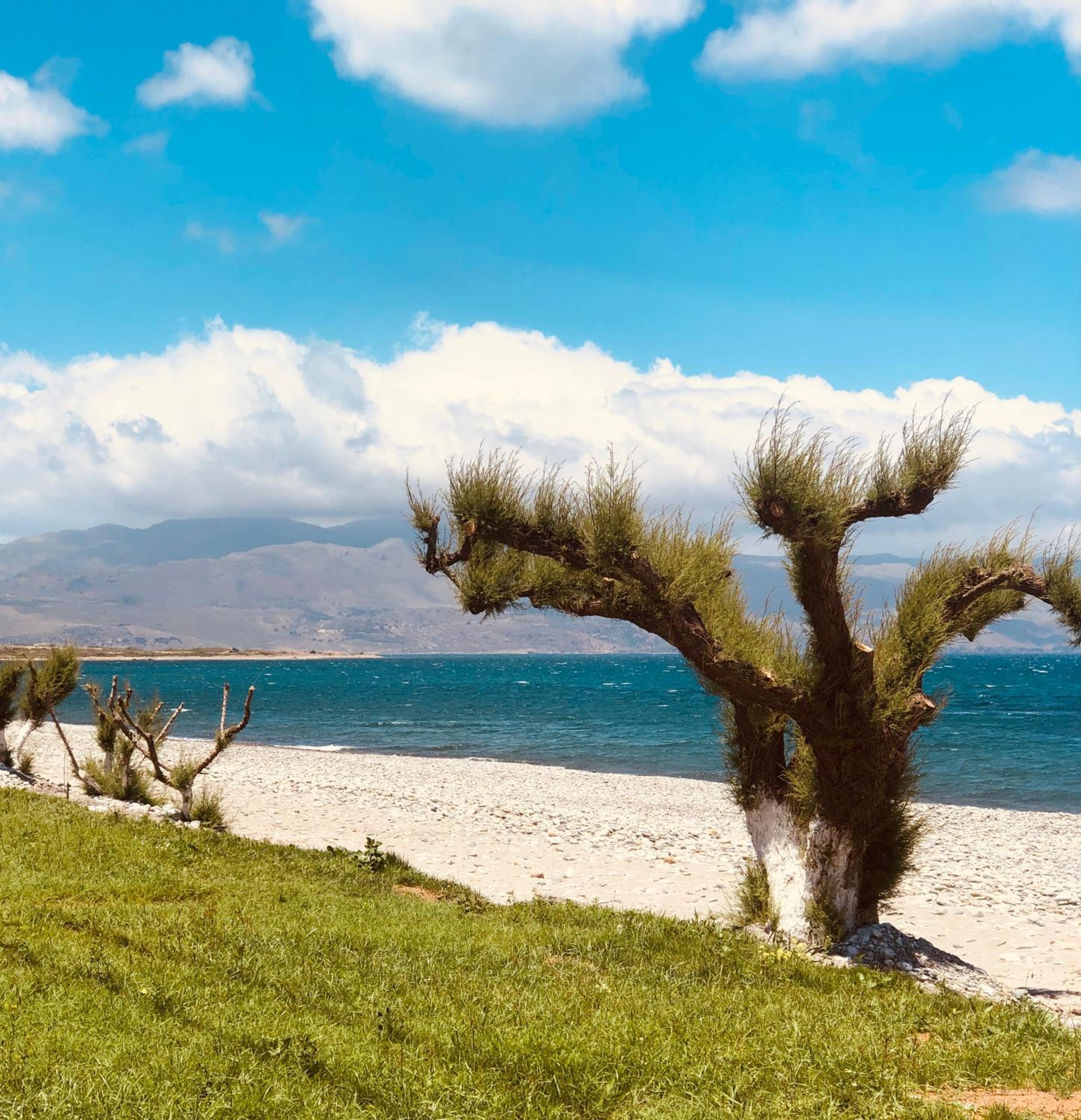 Фото Solon Apartments