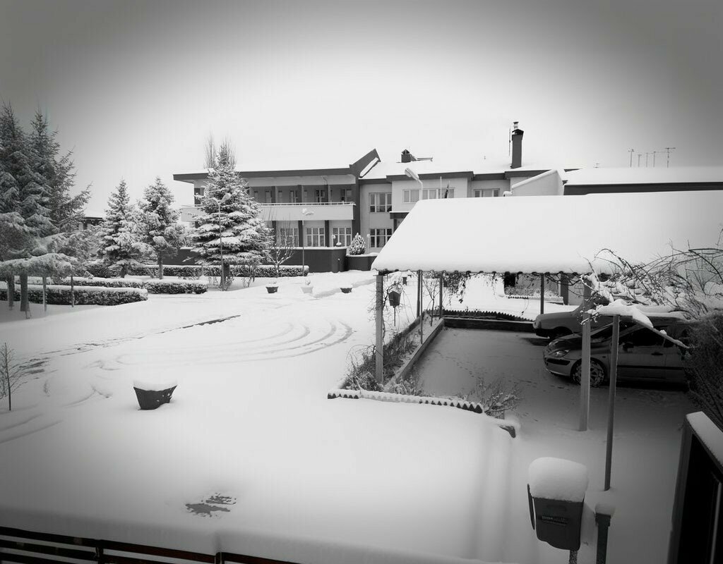 Dormitory Bor Dormitory, Bor, photo