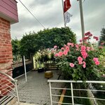 Private Mardin Disabled Care Center (Mardin, Kızıltepe, Turgut Özal Mah.), social service