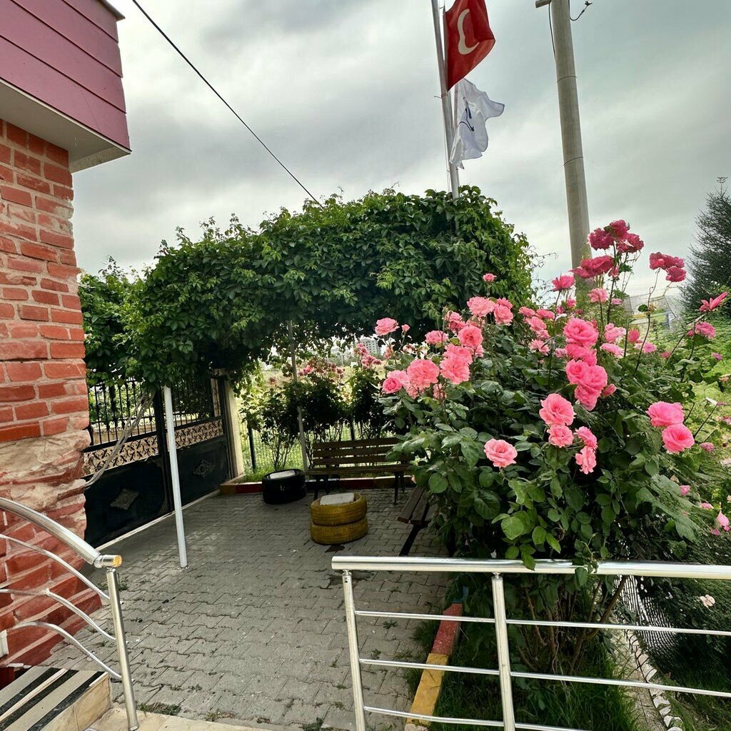 Social service Private Mardin Disabled Care Center, Kiziltepe, photo