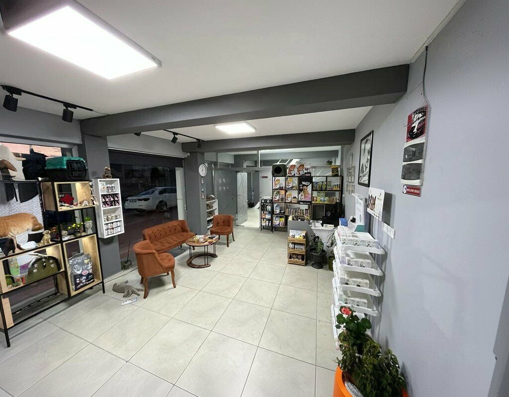Veterinary clinic Cat And Dog's Evcil Hayvan Kliniği, Salihli, photo