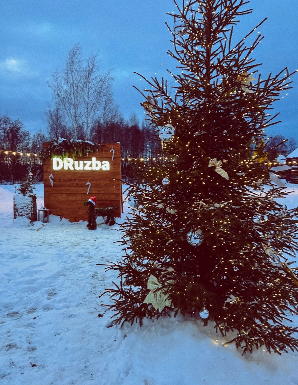 Фото Дружба