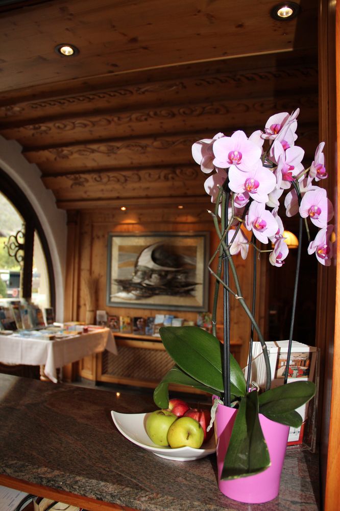 Фото Hotel Tyrolis