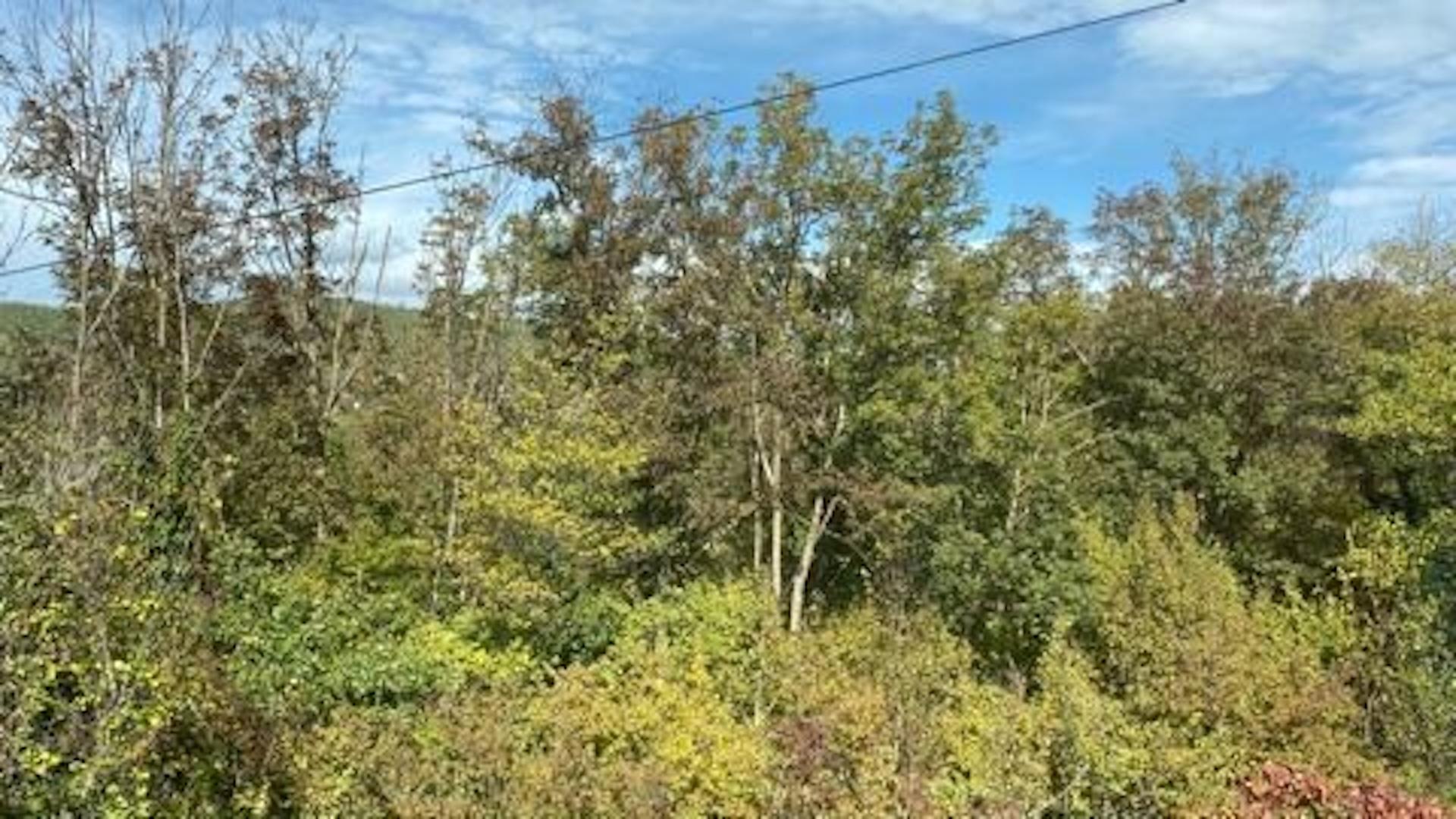 Фото Экопремиум