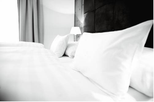 Фото Hotel Amadeus