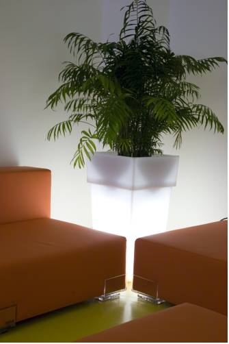 Фото Hotel Correra 241