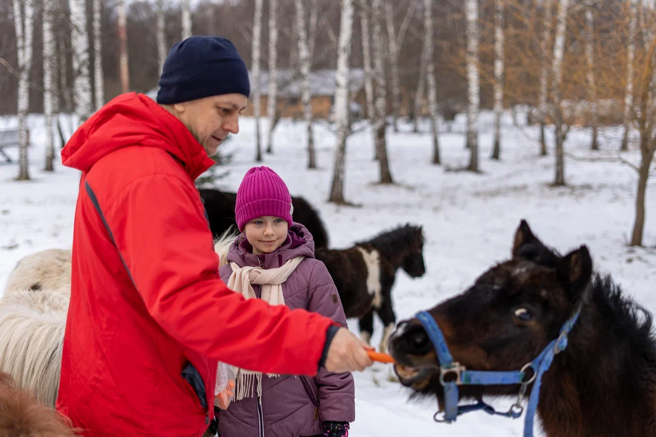 Фото Дом на Лесной Опушке