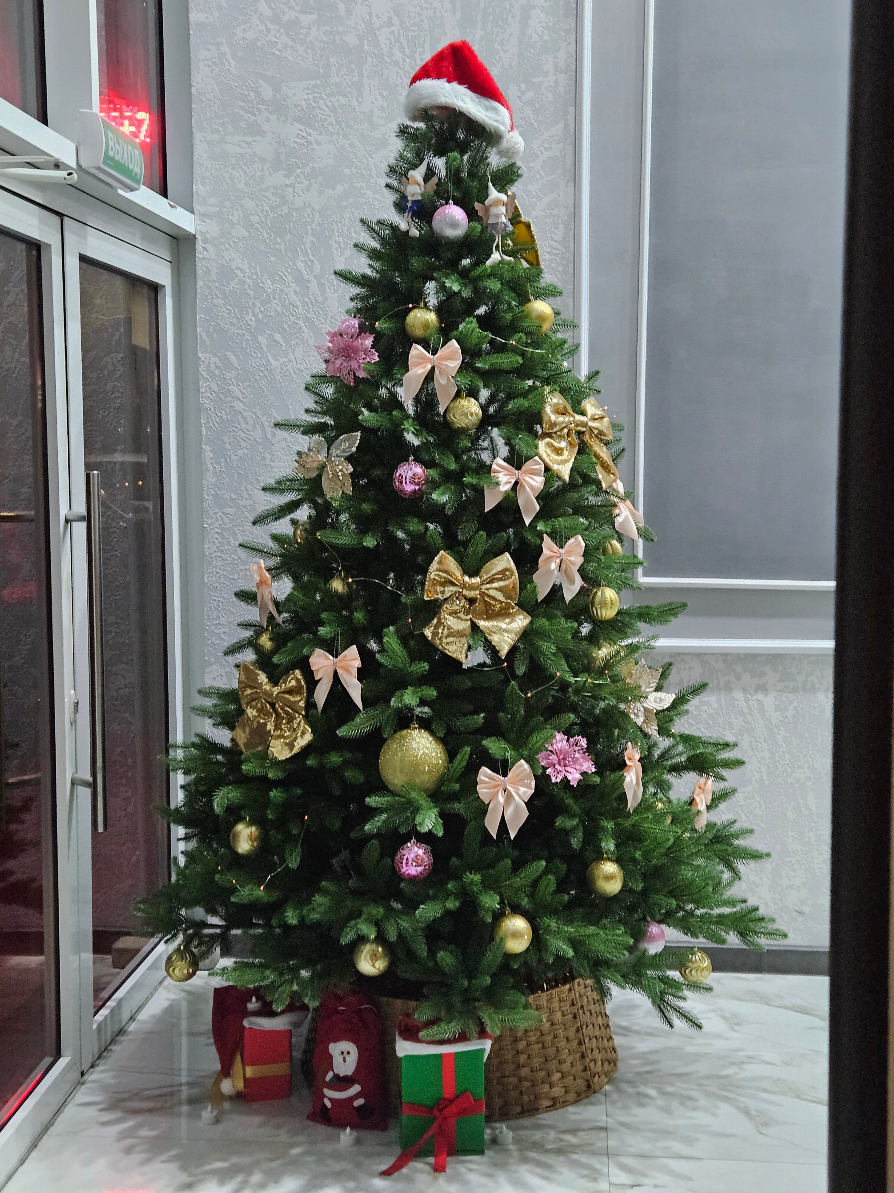 Фото Ника Премиум