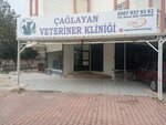 Caglayan Veterinary Clinic - 24/7 On-Call Emergency Veterinary Clinic (Antalya, Muratpaşa, Çağlayan Mah., 2043. Sok., 14A), clínica veterinaria