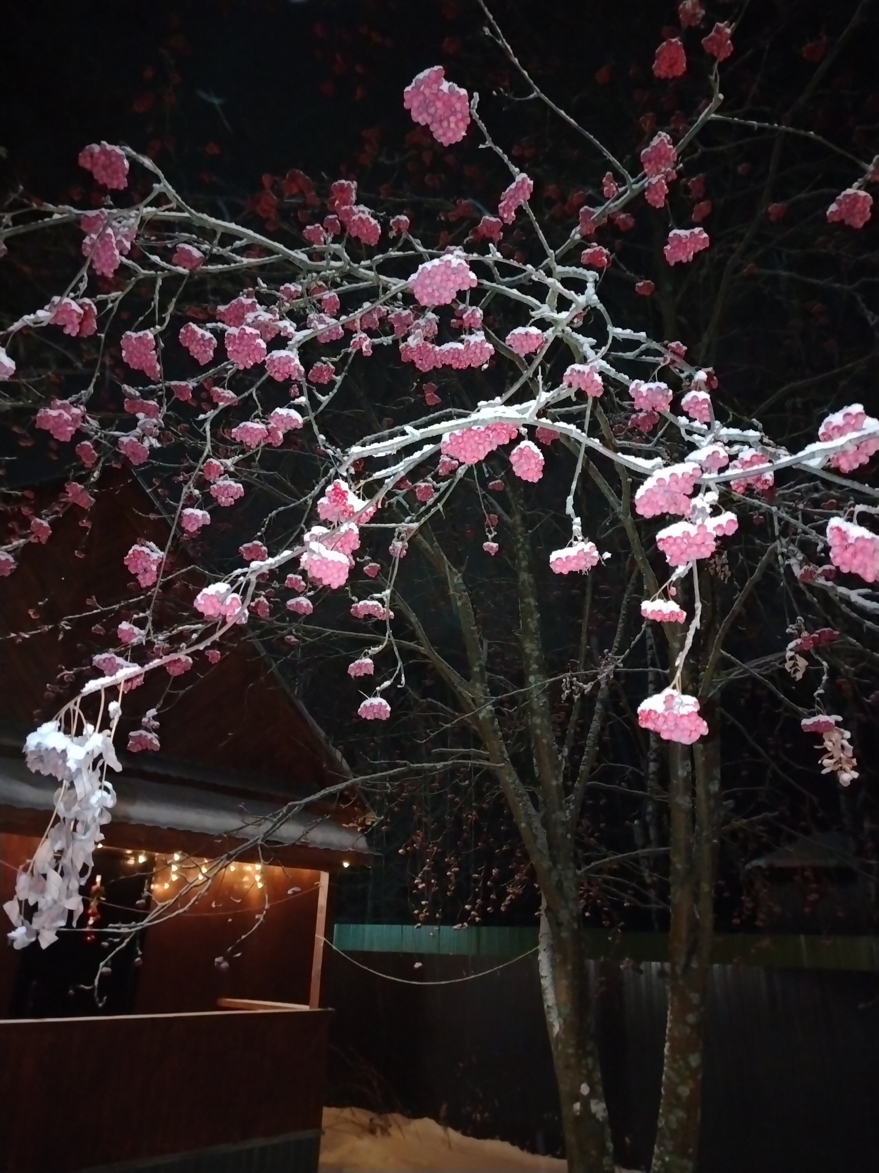 Фото 4 Сезона