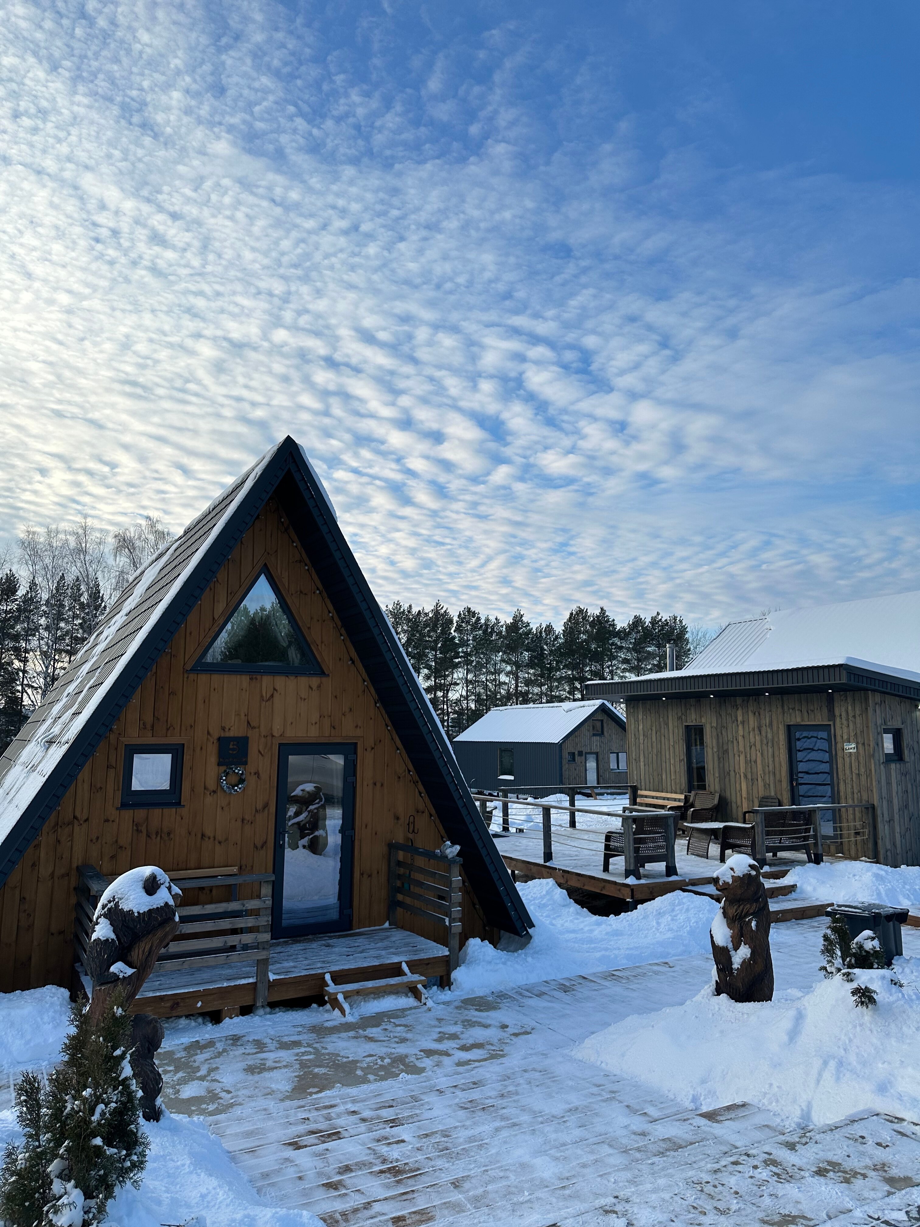 Фото Караси