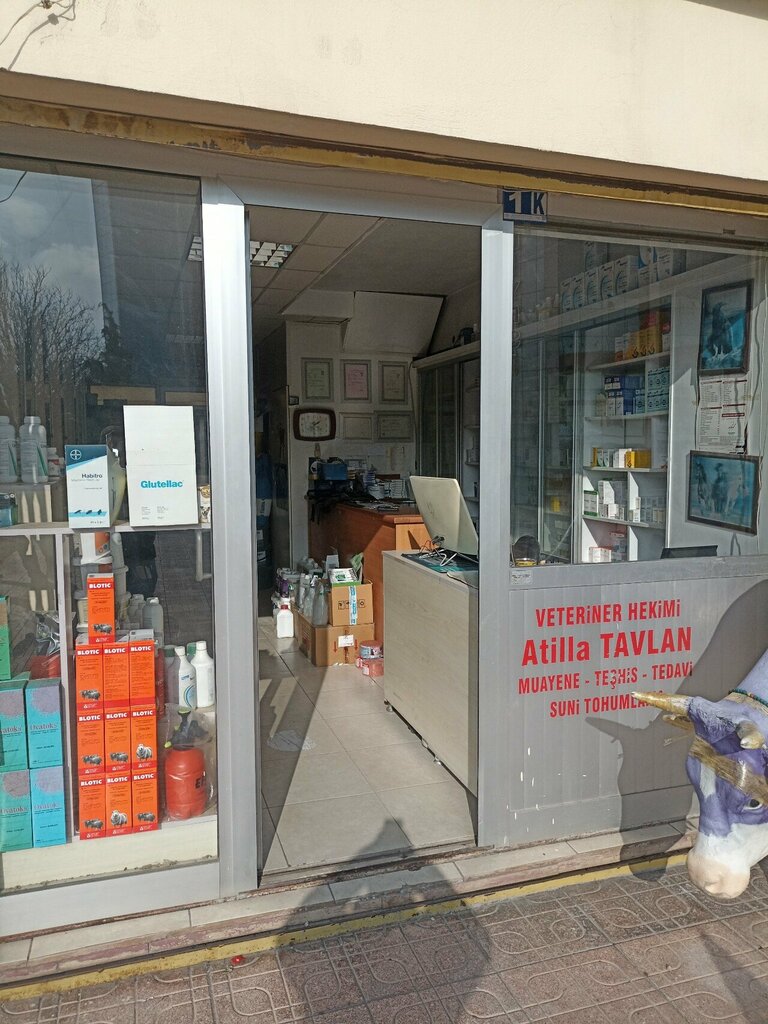Veterinary pharmacy Intes Veterinary, Konya, photo