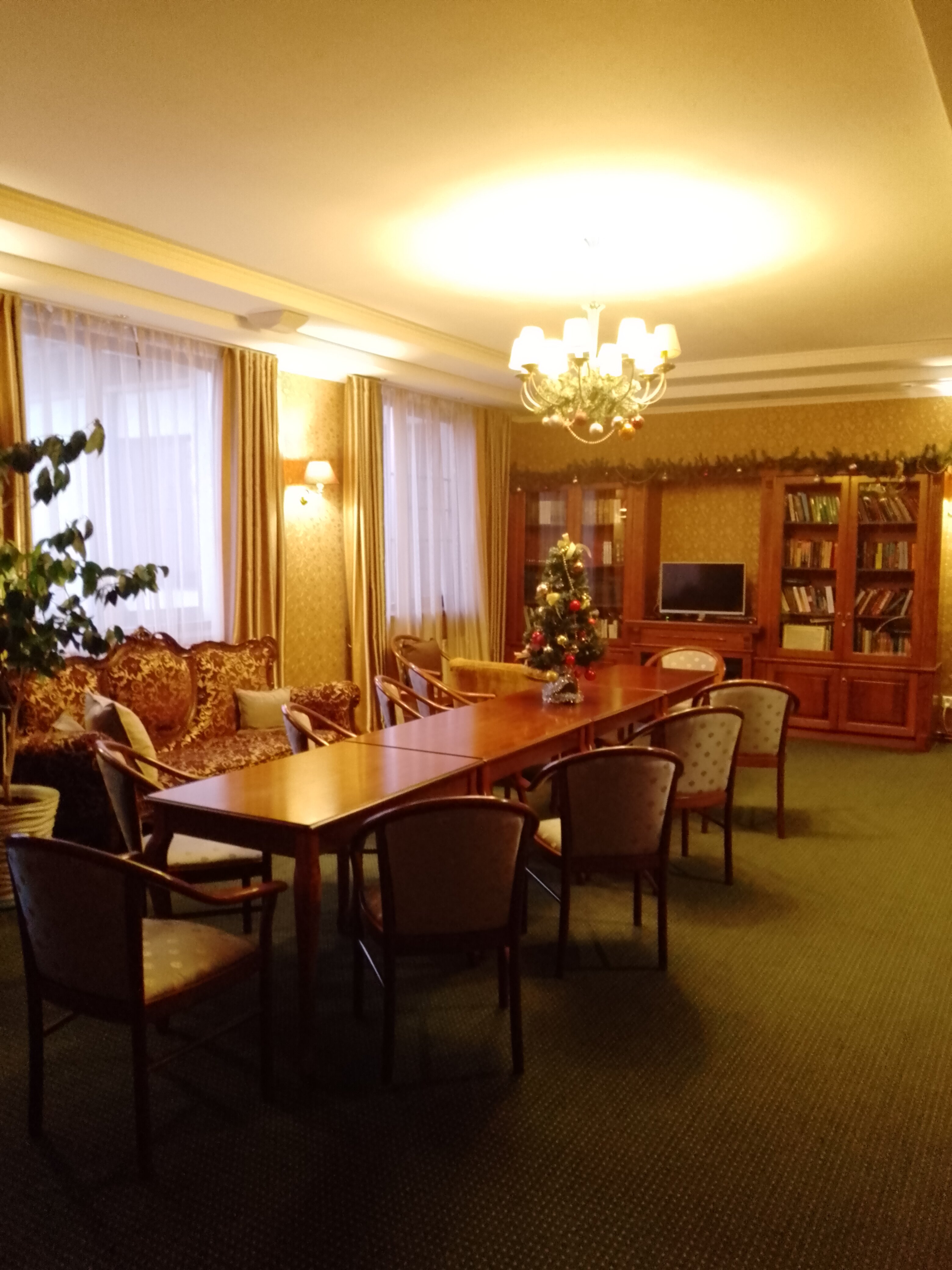 Фото Березки