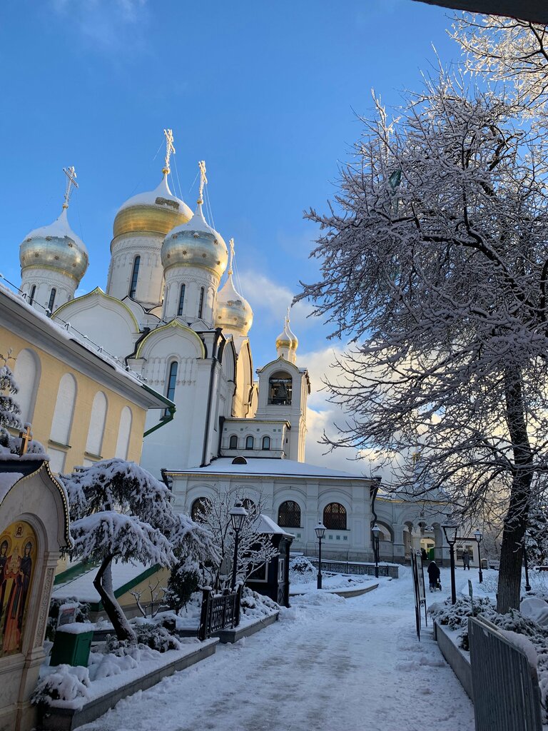 Orthodox church Holy Face of Christ Savior Church, Moscow, photo