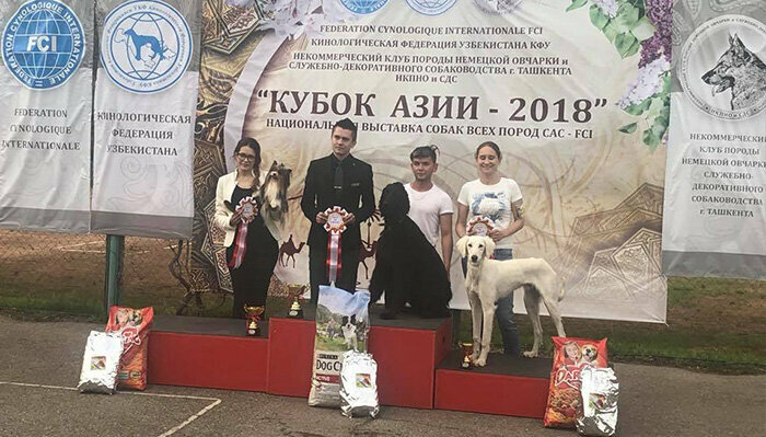 Leisure club Tugan Falconry Club, Tashkent, photo