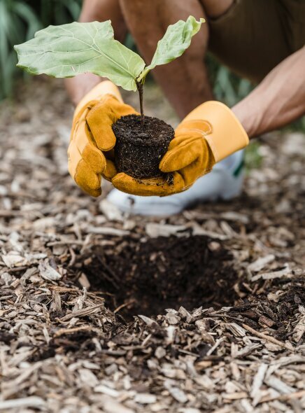 Expertise State Center for Environmental Expertise, Tashkent, photo