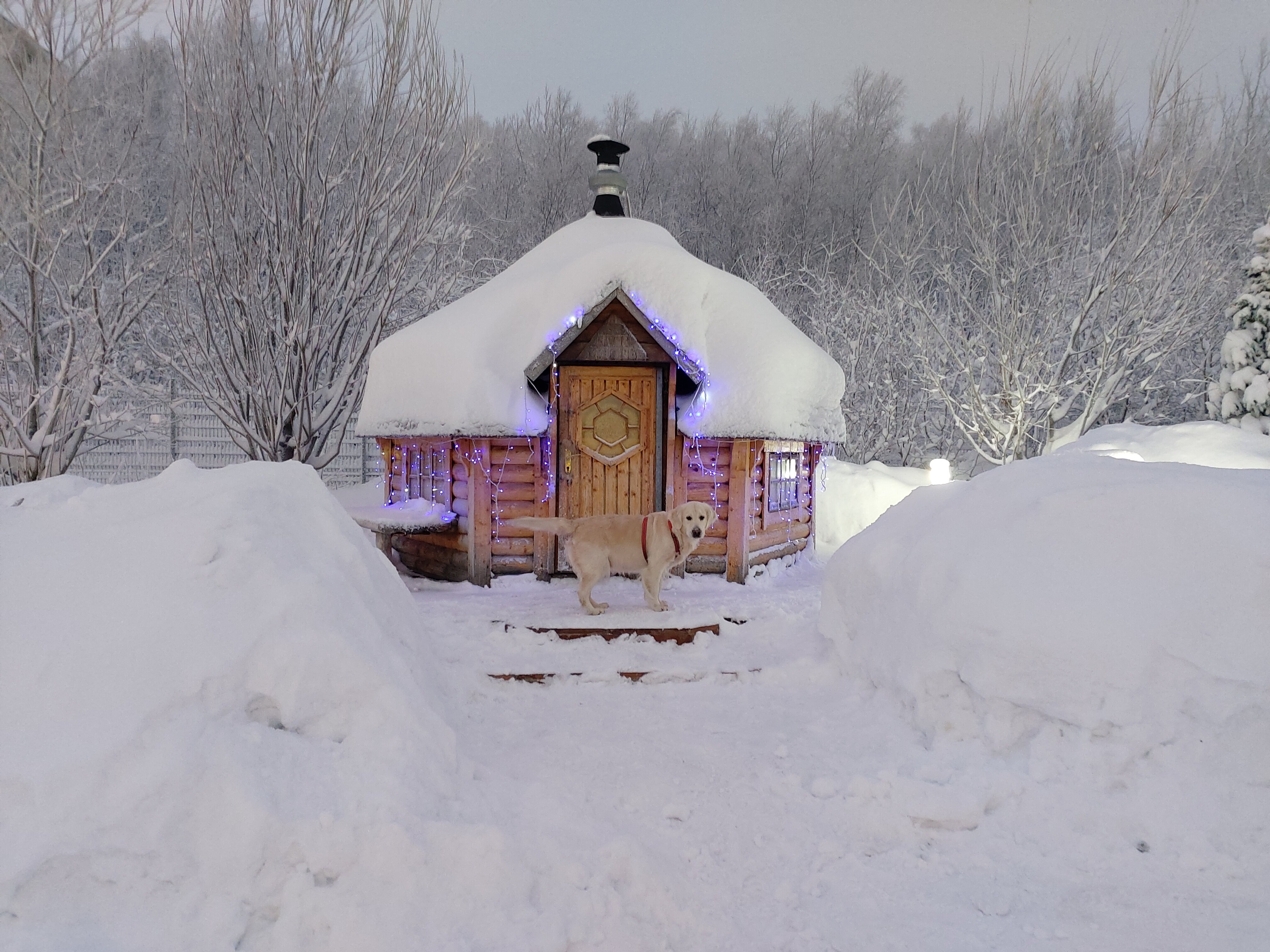 front.reviews.review_photo