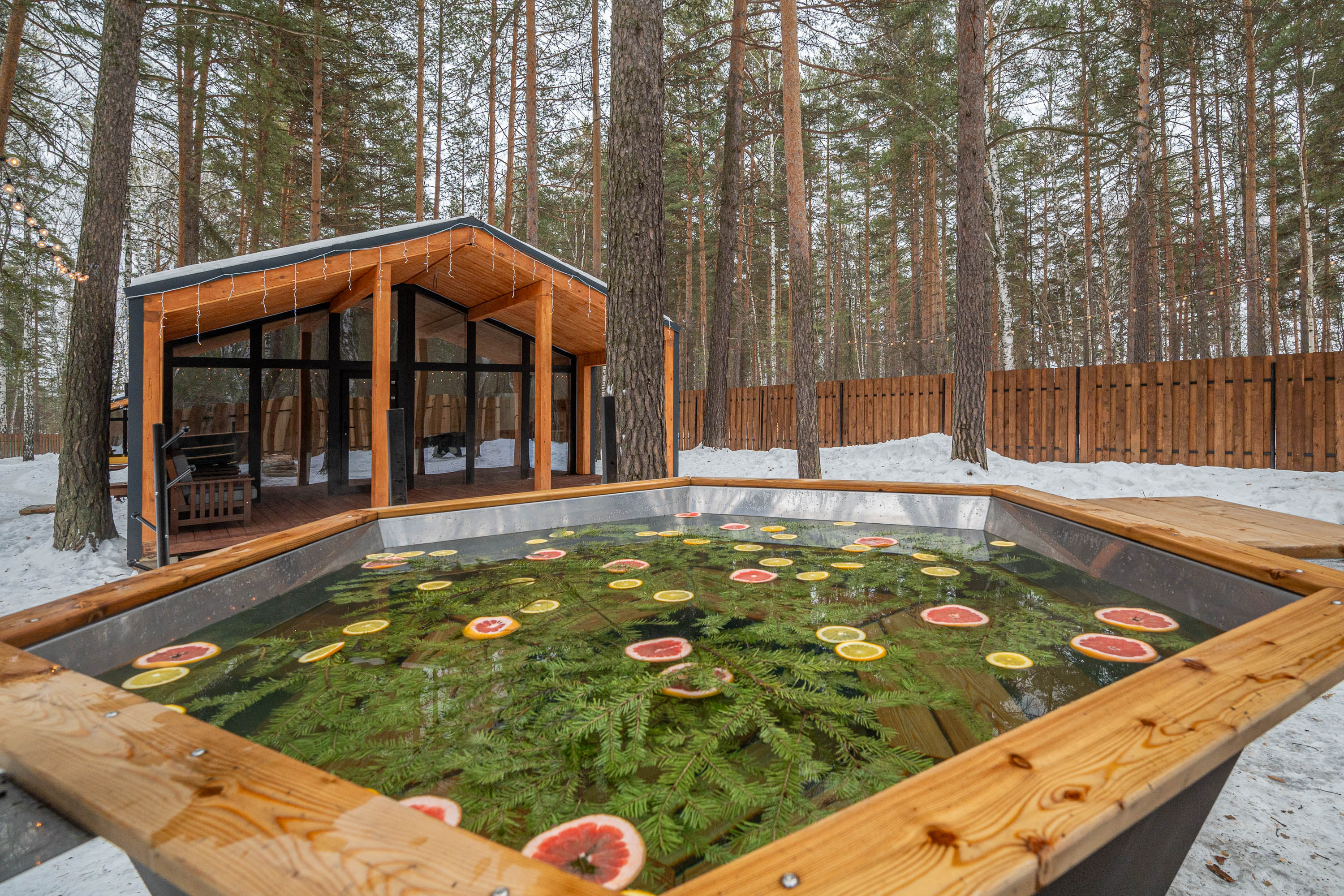 Фото Елки&голки