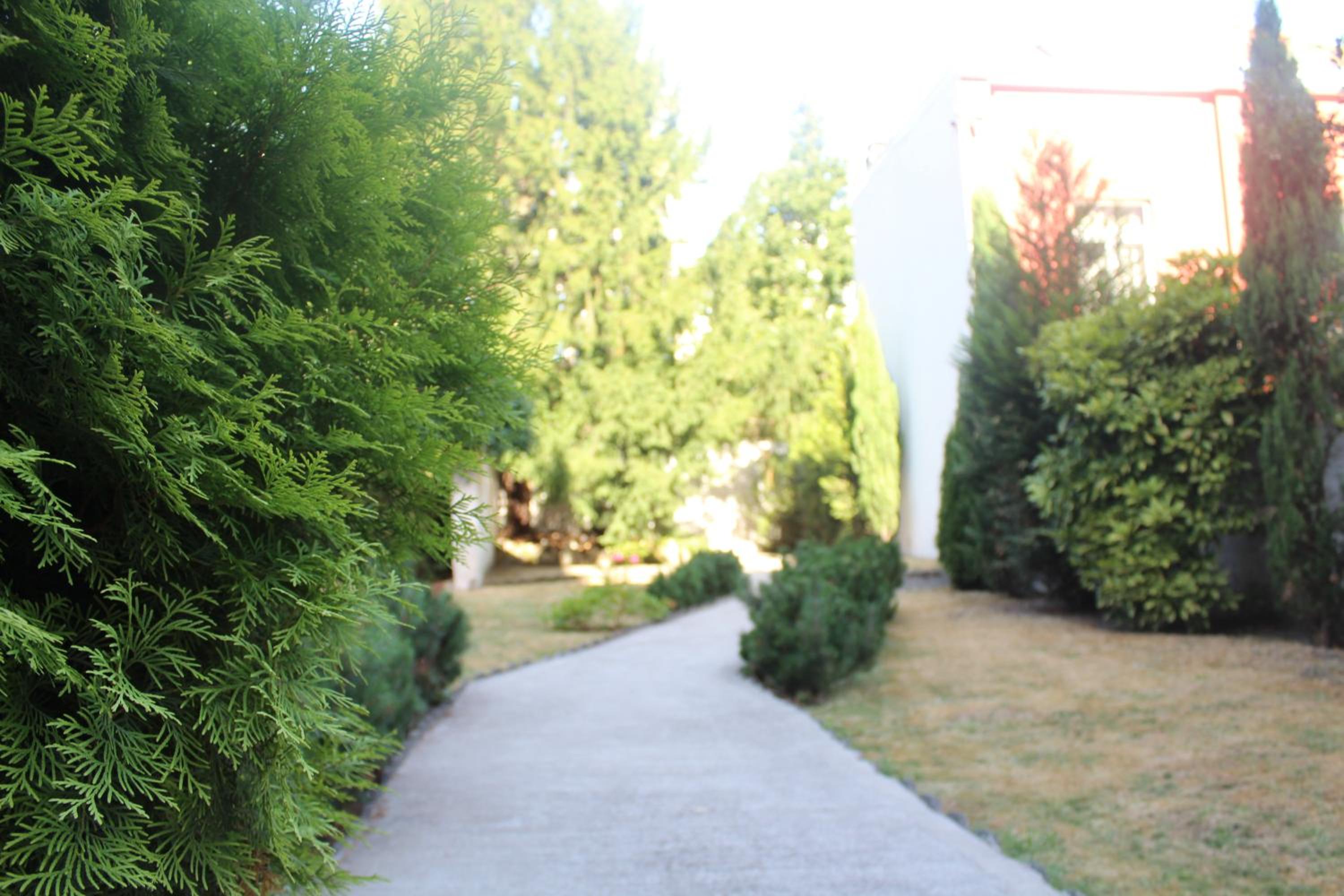 Фото Mas Aparthotel Eu