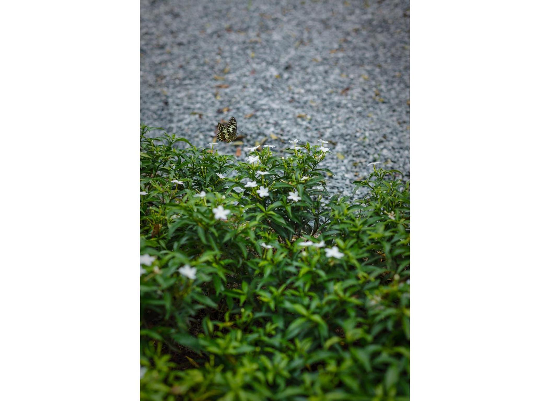 Фото Madera Residence Siracha