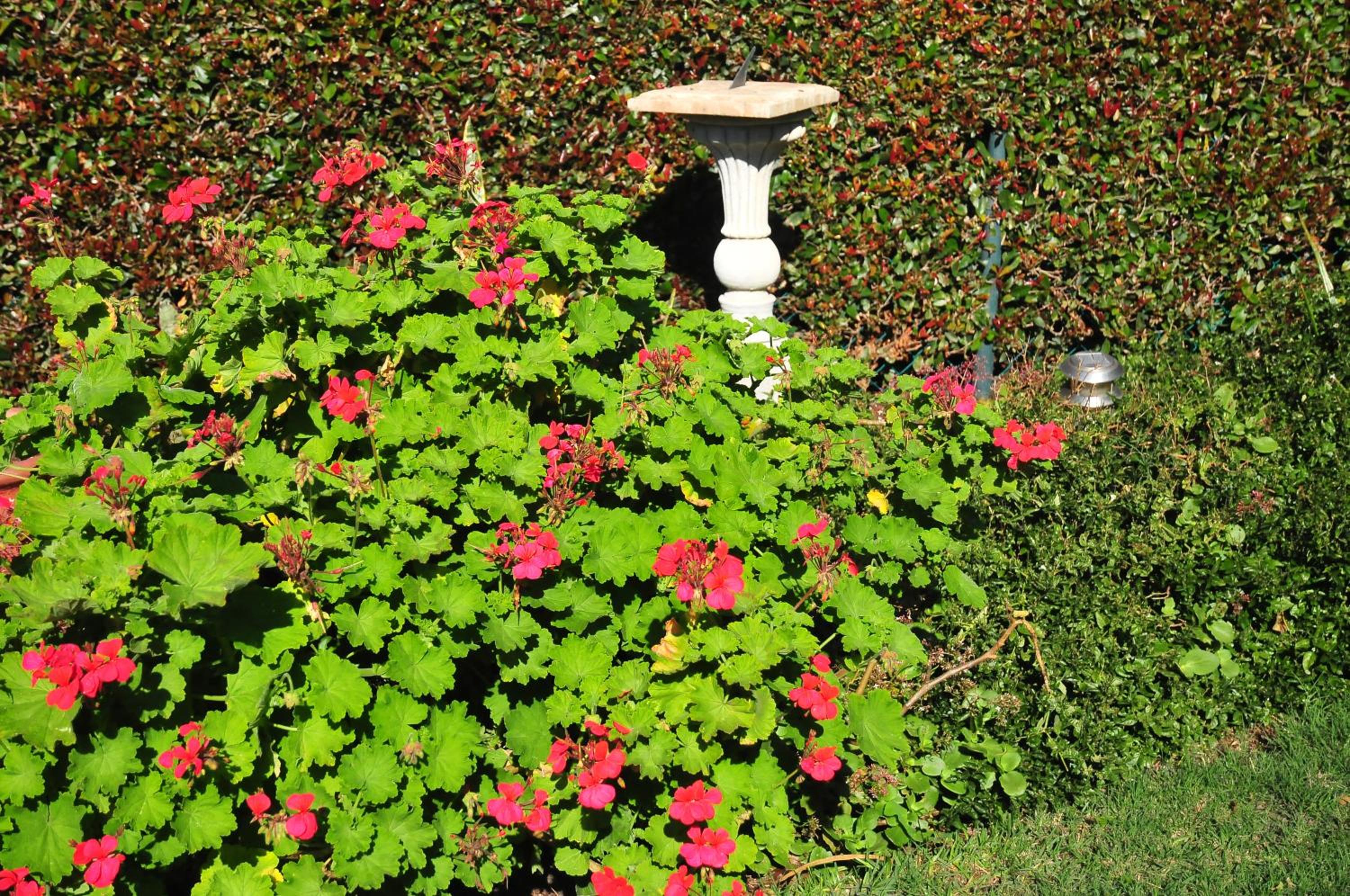 Фото Bradclin House