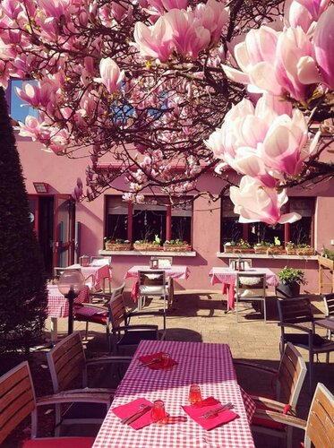 Гостиница Hôtel aux Sapins в Тане