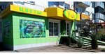 Tsvetochny ray (ulitsa Lenina, 13), flower shop