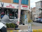 Sariyer Pet Club (İstanbul, Sarıyer, Nalbant Çeşme Cad.), tienda de animales