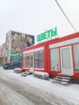 Цветы Подарки (posyolok Troitskaya Gora, territoriya Troitskaya Gora, 1Ак1), flower shop