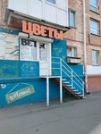 Flowers bar (Oficerskaya Street, 48), flower shop