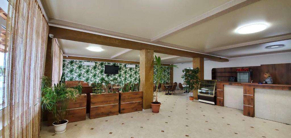 Фото Олимпия