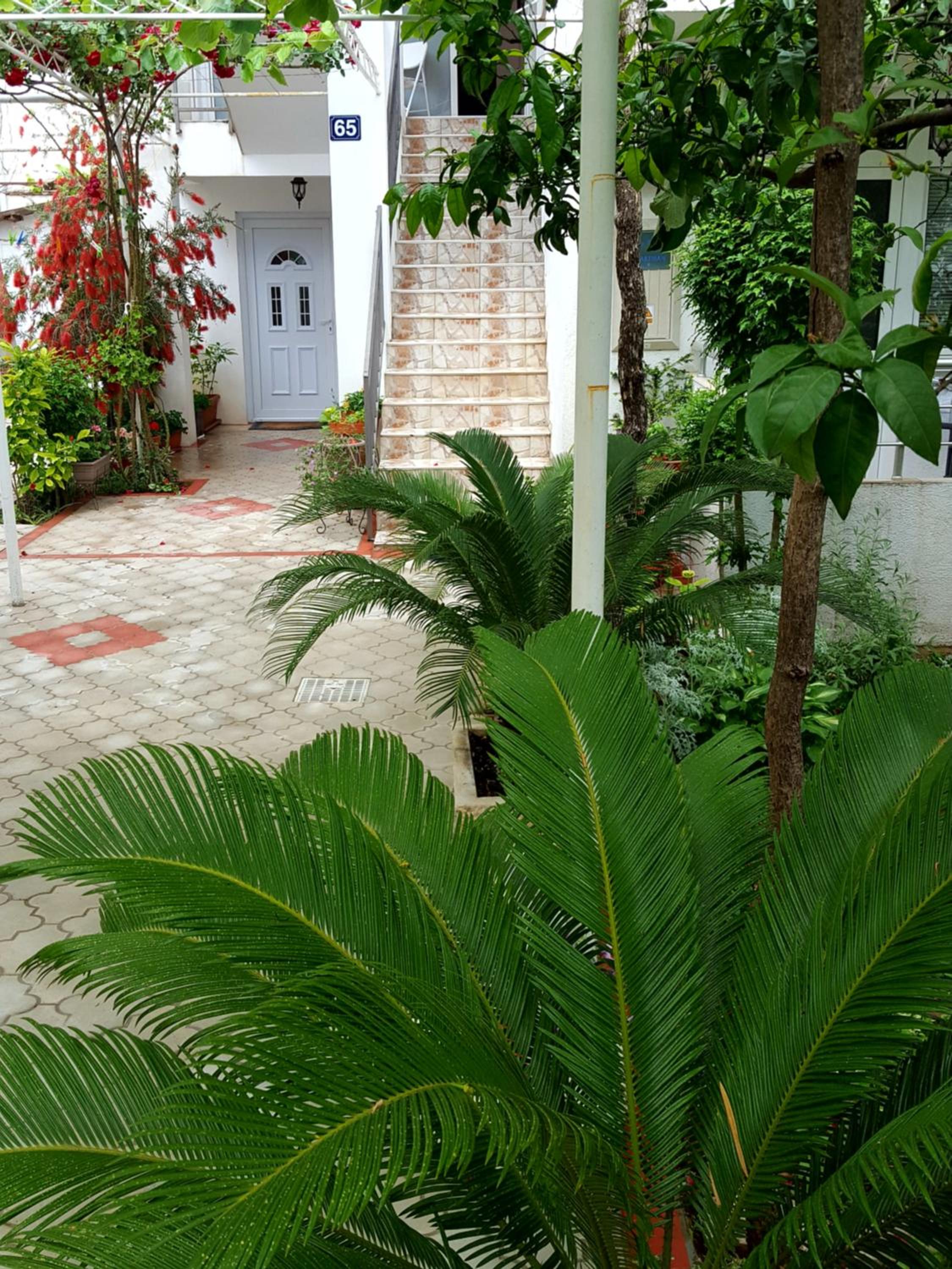 Фото Апартаменты Bonik