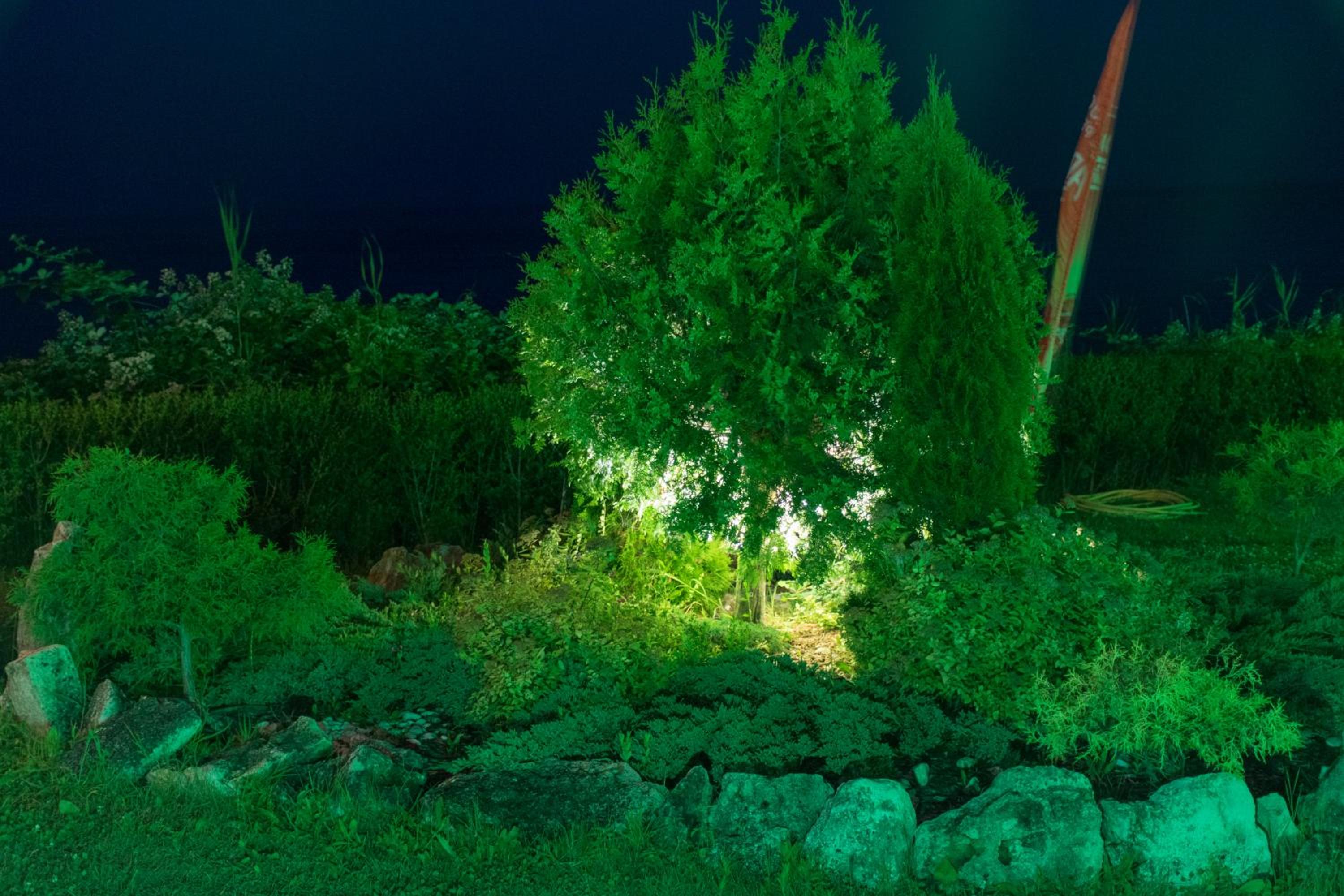 Фото Byala Vista Cliffs