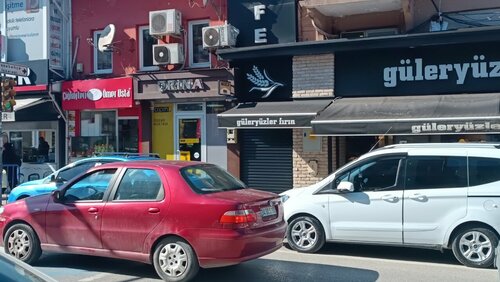 Drina Sarrafiye Fotoğraf 1