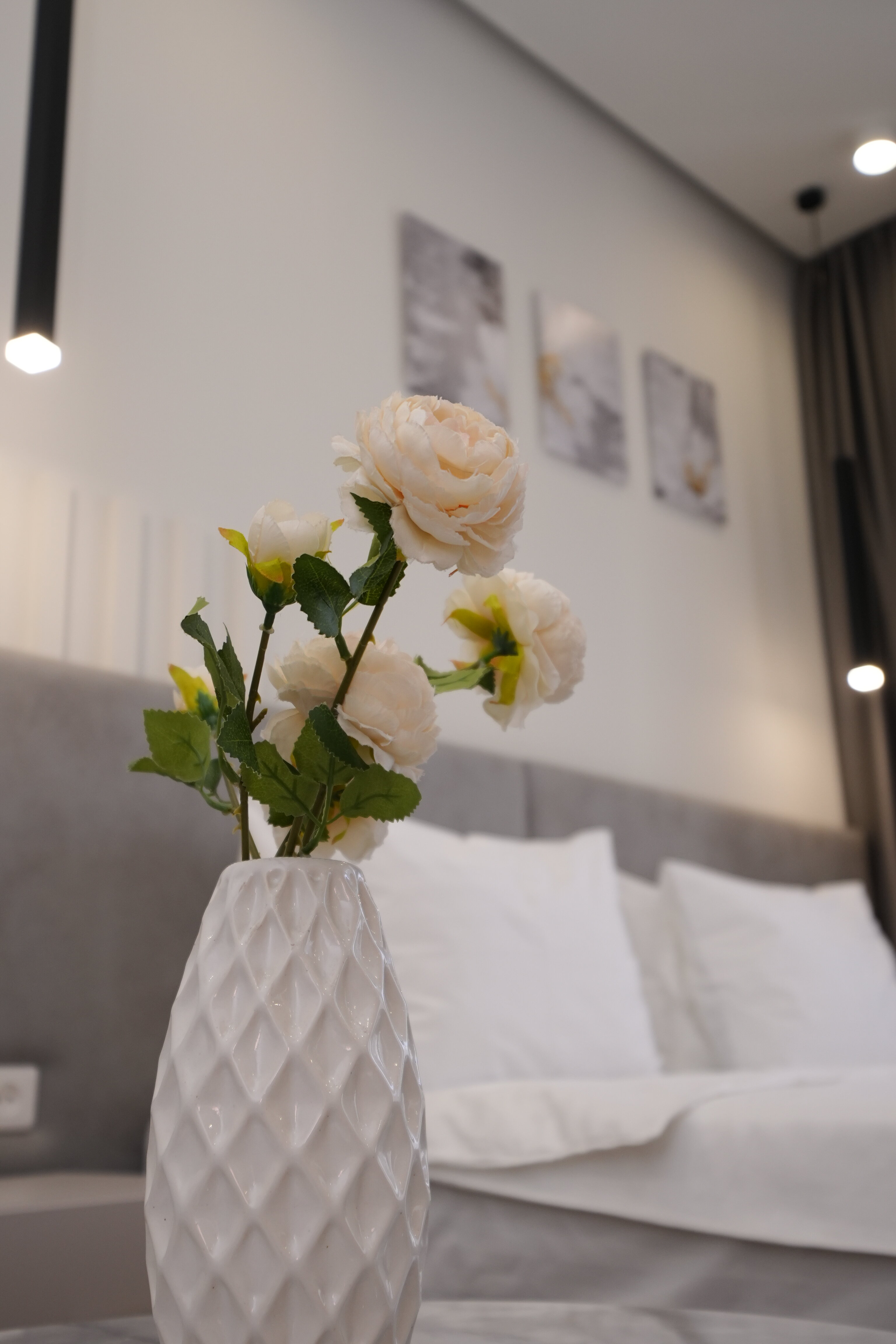 Фото Ser In Hotel