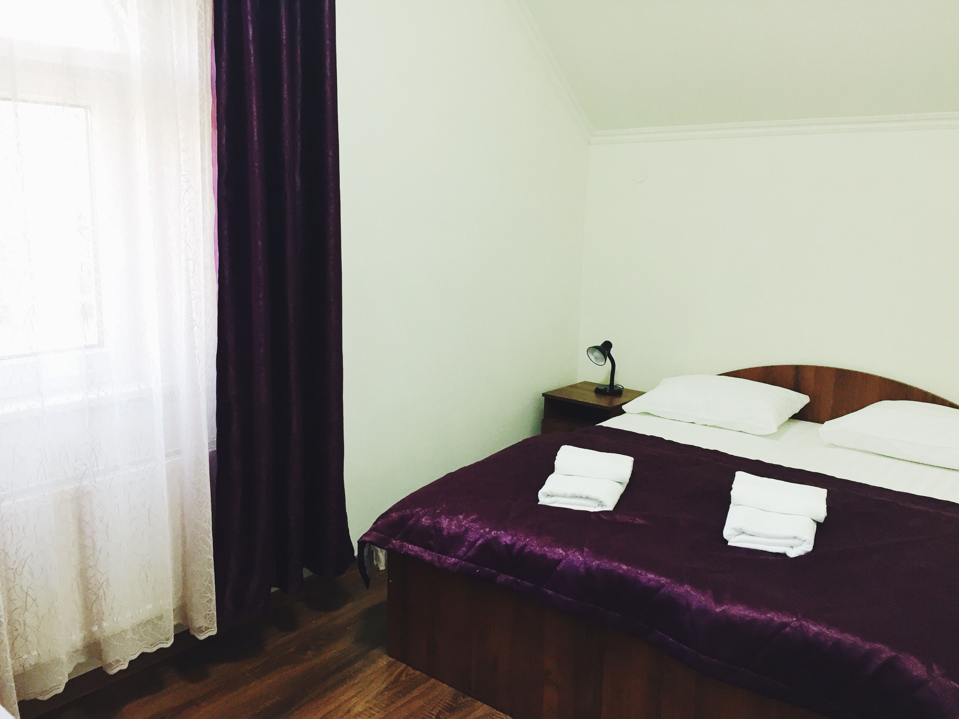 Фото Феникс