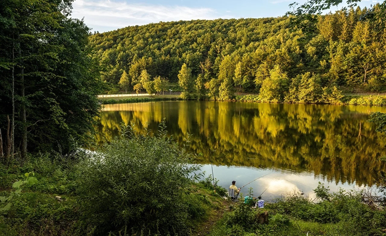 Фото Ягодная деревушка