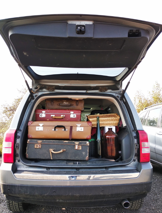 Фото Familyglamp Куликово поле