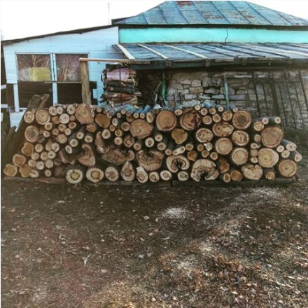 Фото Familyglamp Куликово поле