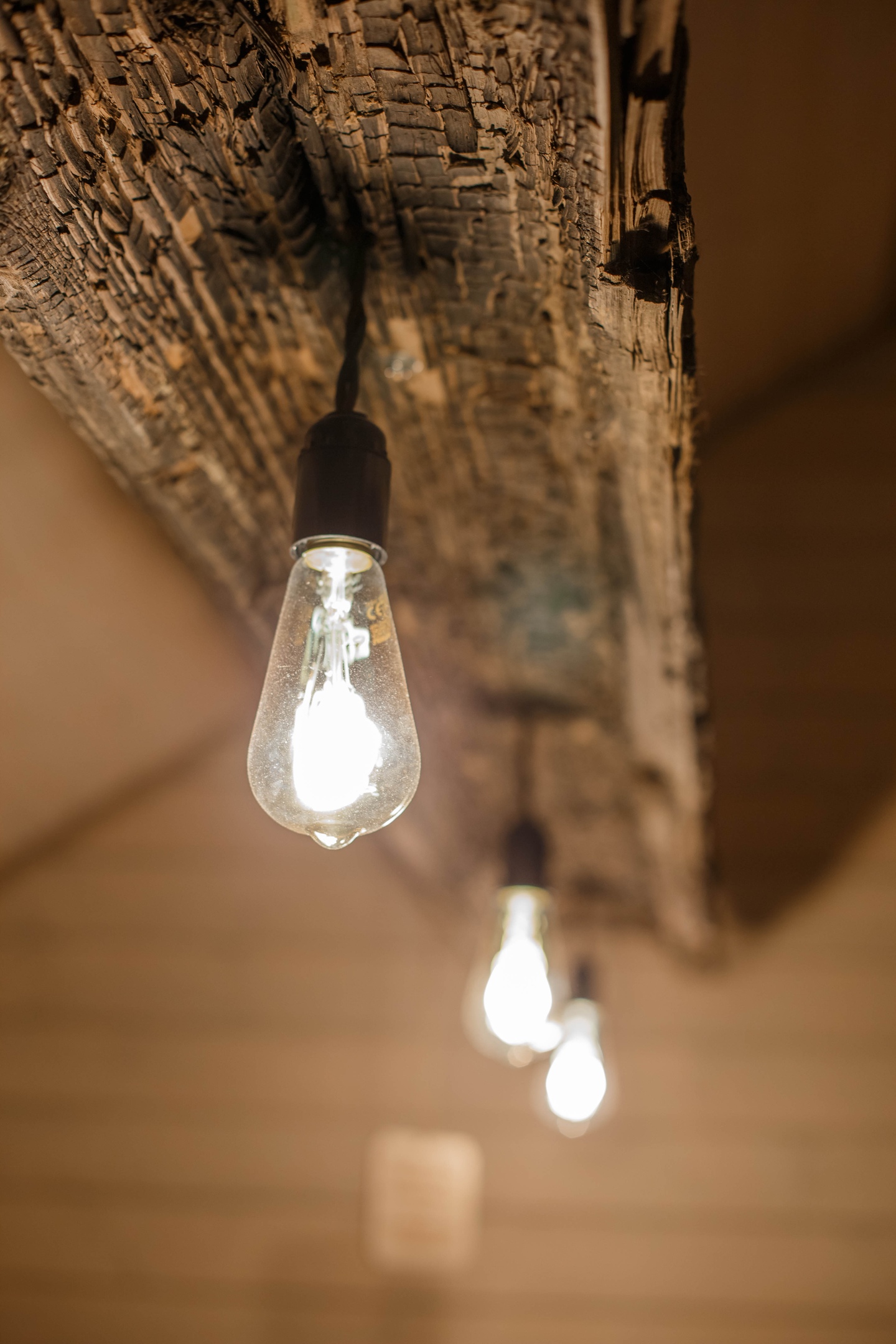 Фото Три кота