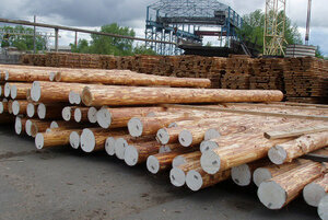 Ahşap endüstrisi Vladimirles, Vladimirskaya oblastı, foto