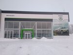 Фото 3 Skoda Элвис