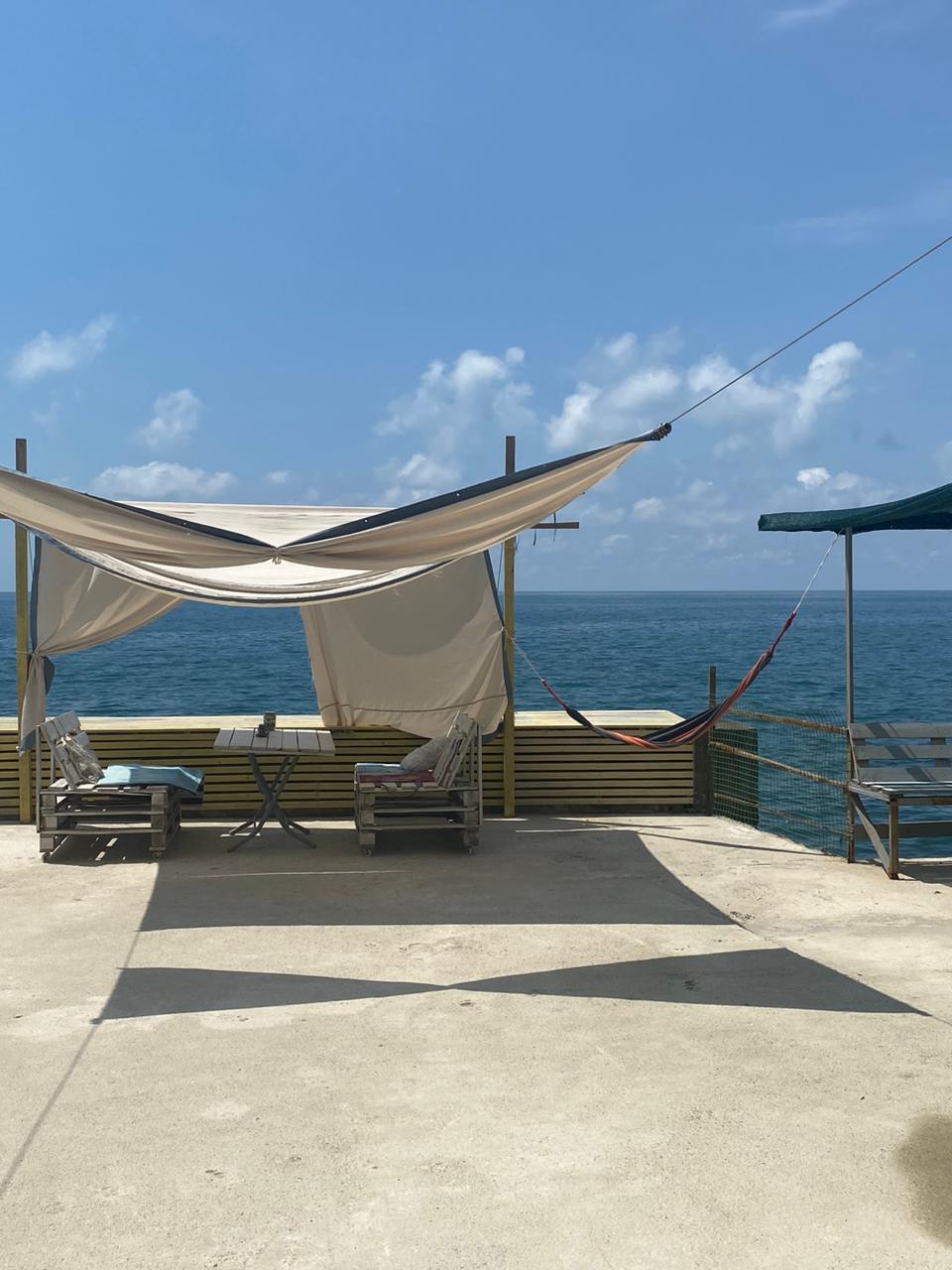 Фото Эллинг Валенсия 75