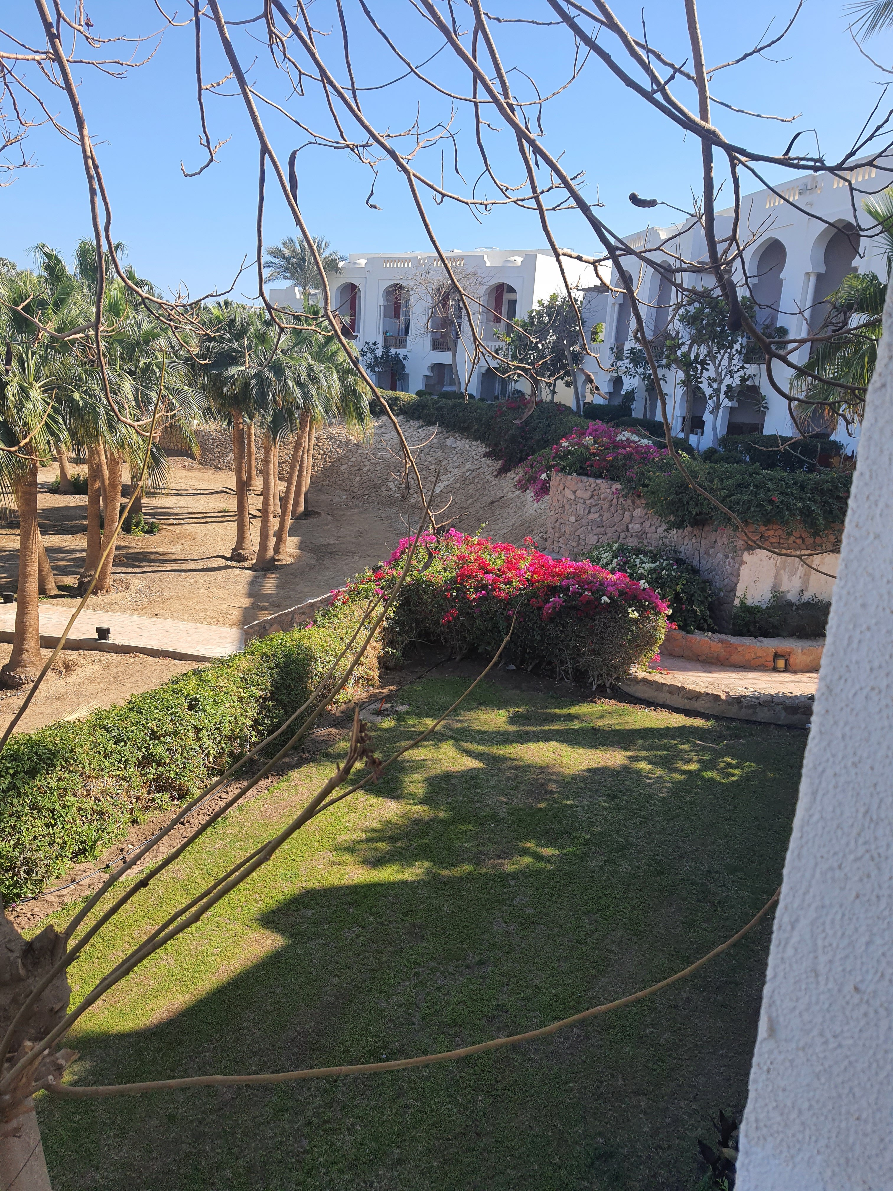 Фото Domina El Sultan Hotel & Resort